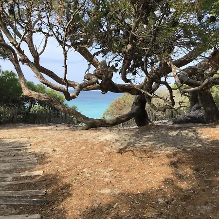 Les Chenes Verts Oletta (Corsica)